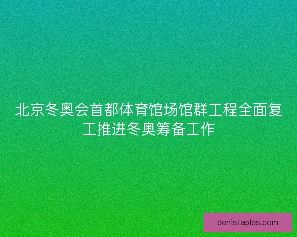 北京冬奥会首都体育馆场馆群工程全面复工推进冬奥筹备工作 北京冬奥会首都体育馆场馆群工程全面复工推进冬奥筹备工作