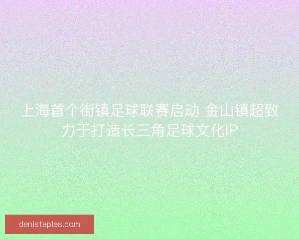 上海首个街镇足球联赛启动 金山镇超致力于打造长三角足球文化IP