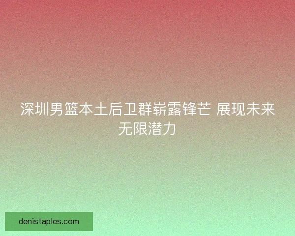 深圳男篮本土后卫群崭露锋芒 展现未来无限潜力 深圳男篮本土后卫群崭露锋芒 展现未来无限潜力