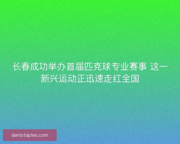 长春成功举办首届匹克球专业赛事 这一新兴运动正迅速走红全国 长春成功举办首届匹克球专业赛事 这一新兴运动正迅速走红全国